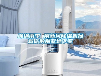 行業新聞綿綿雨季 用新風除濕機拯救你的別墅地下室