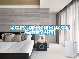 企業(yè)新聞除濕機(jī)品牌十佳排名(除濕機(jī)品牌哪個(gè)好用)