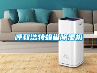 行業新聞呼和浩特蜂巢除濕機