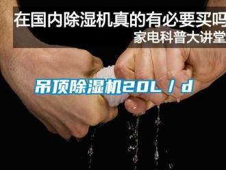 企業新聞吊頂除濕機20L／d