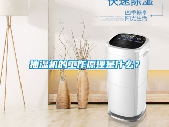 企業新聞抽濕機的工作原理是什么？