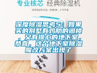 企業(yè)新聞深度除濕思考5：如果買的別墅有雞肋的閣樓，又有操心的地下室，恭喜，這個地下室除濕魔改方案出現(xiàn)了