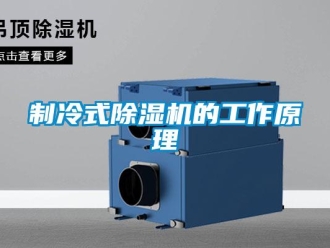 行業新聞制冷式除濕機的工作原理
