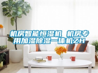知識百科機房智能恒濕機 機房專用加濕除濕一體機ZH