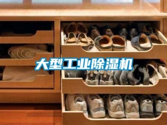 企業新聞大型工業除濕機