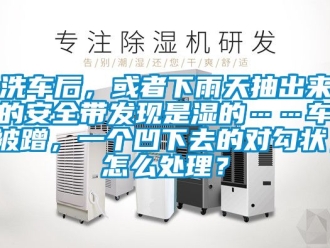 企業新聞洗車后，或者下雨天抽出來的安全帶發現是濕的……車被蹭，一個凹下去的對勾狀，怎么處理？