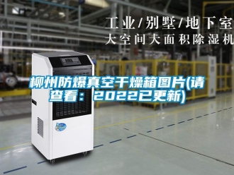 企業新聞柳州防爆真空干燥箱圖片(請查看：2022已更新)