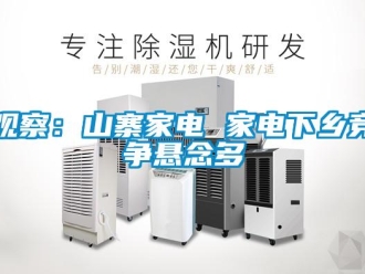 行業新聞觀察：山寨家電 家電下鄉競爭懸念多