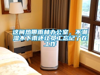 知識百科這間熱帶雨林辦公室，不潮濕不下雨還讓員工忘記了在工作