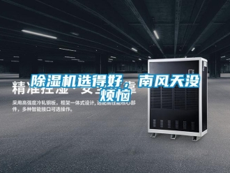 企業新聞除濕機選得好，南風天沒煩惱