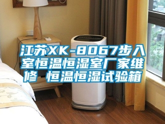 知識(shí)百科江蘇XK-8067步入室恒溫恒濕室廠家維修 恒溫恒濕試驗(yàn)箱