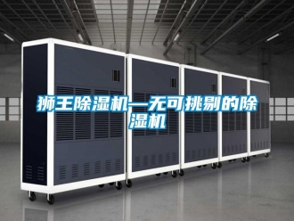 行業新聞獅王除濕機—無可挑剔的除濕機