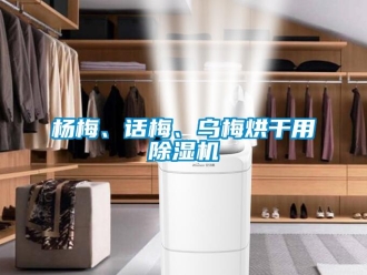 知識百科楊梅、話梅、烏梅烘干用除濕機(jī)