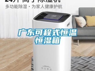 知識(shí)百科廣東可程式恒溫恒濕箱