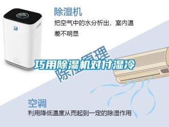 行業(yè)新聞巧用除濕機(jī)對(duì)付濕冷