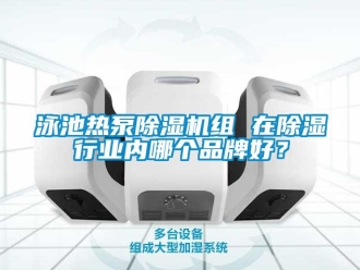 企業新聞泳池熱泵除濕機組 在除濕行業內哪個品牌好？