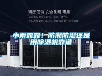 知識百科小雨霏霏！防潮防濕還是用除濕機靠譜