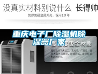 企業新聞重慶電子廠除濕機除濕器廠家