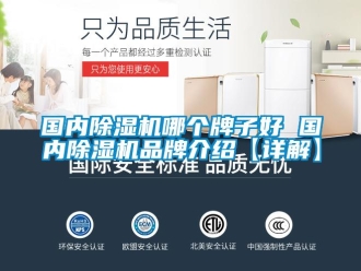 企業新聞國內除濕機哪個牌子好 國內除濕機品牌介紹【詳解】