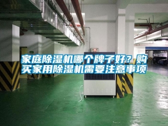 行業(yè)新聞家庭除濕機(jī)哪個牌子好？購買家用除濕機(jī)需要注意事項
