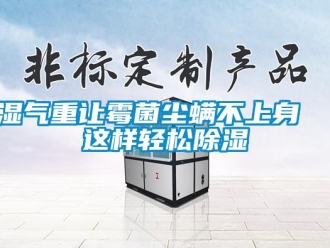 知識百科濕氣重讓霉菌塵螨不上身  這樣輕松除濕