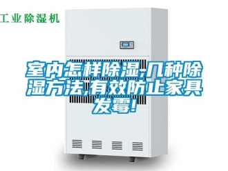 企業新聞室內怎樣除濕,幾種除濕方法,有效防止家具發霉!