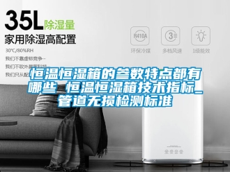 知識百科恒溫恒濕箱的參數(shù)特點都有哪些 恒溫恒濕箱技術(shù)指標_管道無損檢測標準