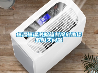 知識百科恒溫恒濕試驗箱制冷劑選擇的相關問題