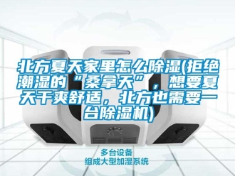 企業新聞北方夏天家里怎么除濕(拒絕潮濕的“桑拿天”，想要夏天干爽舒適，北方也需要一臺除濕機)