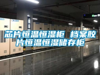 知識百科芯片恒溫恒濕柜 檔案膠片恒溫恒濕儲存柜