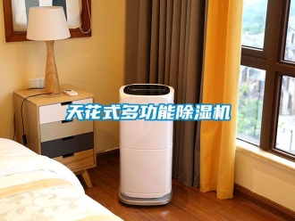行業(yè)新聞天花式多功能除濕機