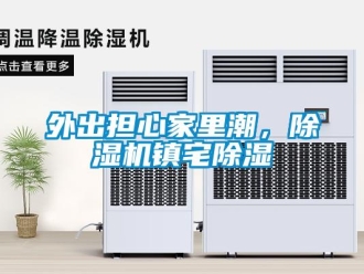 知識百科外出擔心家里潮，除濕機鎮(zhèn)宅除濕