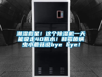 企業新聞潮濕救星！這個除濕機一天能吸走40瓶水！和霉菌螨蟲小蘑菇說bye bye！