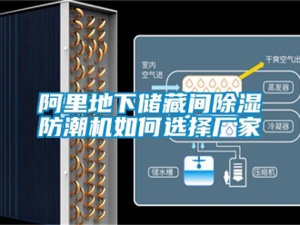 企業新聞阿里地下儲藏間除濕防潮機如何選擇廠家