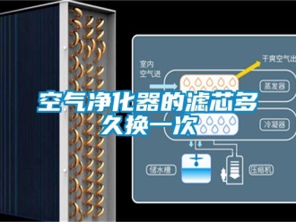 行業(yè)新聞空氣凈化器的濾芯多久換一次