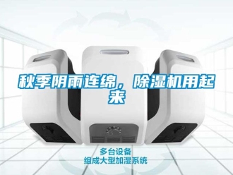 行業新聞秋季陰雨連綿，除濕機用起來