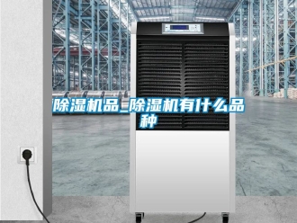 行業新聞除濕機品_除濕機有什么品種