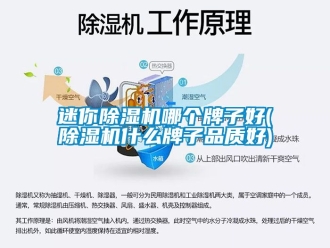 行業新聞迷你除濕機哪個牌子好(除濕機什么牌子品質好)
