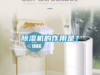 企業新聞除濕機的作用是？