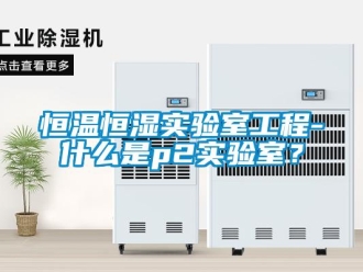 知識百科恒溫恒濕實驗室工程-什么是p2實驗室？