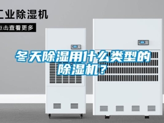 企業新聞冬天除濕用什么類型的除濕機？