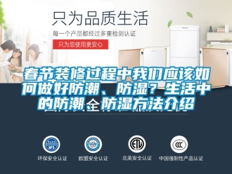 企業(yè)新聞春節(jié)裝修過程中我們應(yīng)該如何做好防潮、防濕？生活中的防潮、防濕方法介紹
