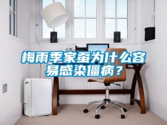 行業新聞梅雨季家蠶為什么容易感染僵病？