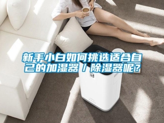 行業(yè)新聞新手小白如何挑選適合自己的加濕器／除濕器呢？