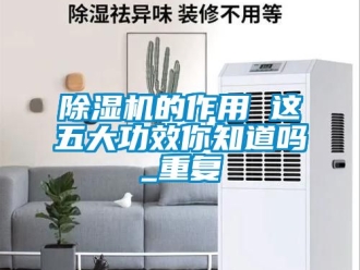 企業新聞除濕機的作用 這五大功效你知道嗎_重復