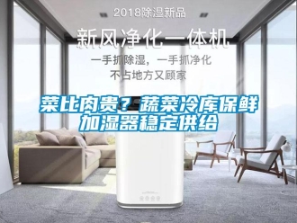 企業(yè)新聞菜比肉貴？蔬菜冷庫保鮮加濕器穩(wěn)定供給