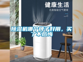 行業新聞除濕機哪個牌子好用，買了不后悔