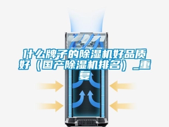 行業新聞什么牌子的除濕機好品質好（國產除濕機排名）_重復