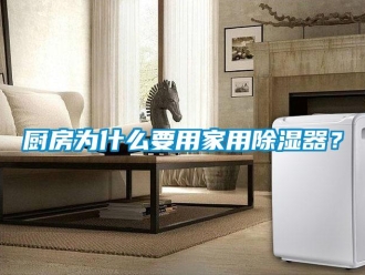 行業(yè)新聞廚房為什么要用家用除濕器？