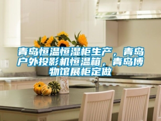 知識百科青島恒溫恒濕柜生產，青島戶外投影機恒溫箱，青島博物館展柜定做